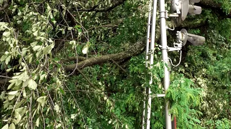 Trenuri cu sute de călători au fost oprite, după ce mai mulți copaci au căzut pe firele de contact