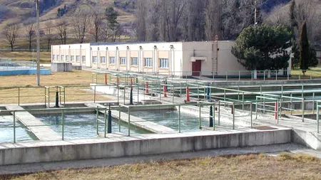 VIDEO: Accident chimic la „Uzina de apă” din Brașov. Prefect: „A fost o emisie de la un recipient deja utilizat”