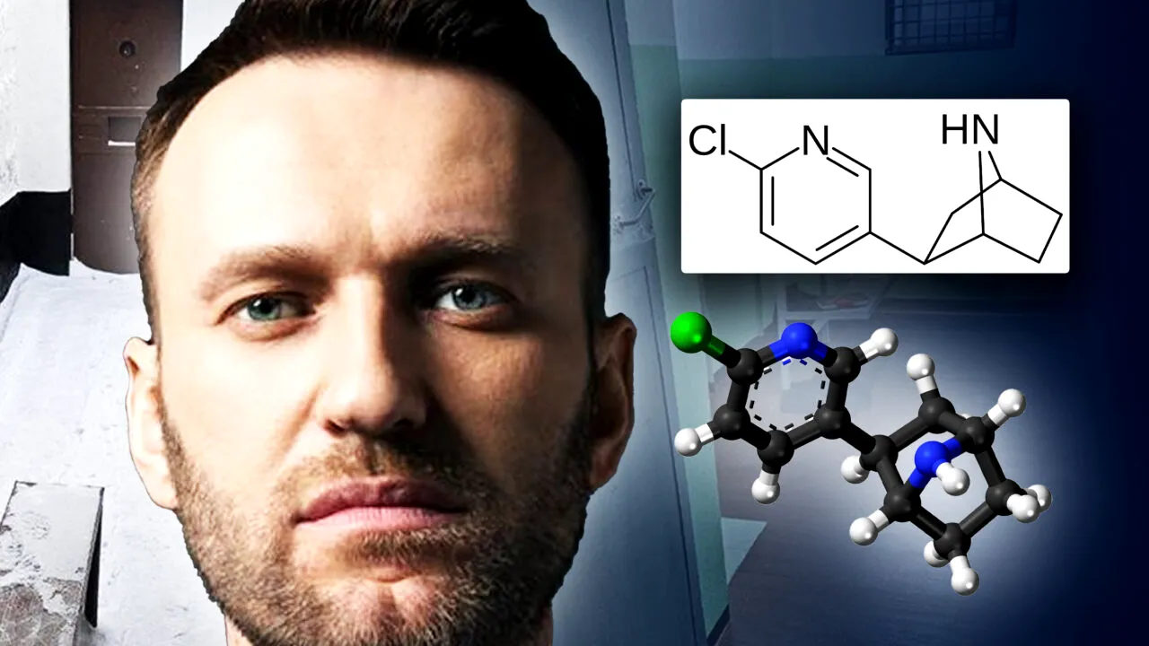 Dezvăluiri despre ultimele ore din viața lui Alexei Navalnîi. The Insider: „Dureri abdominale severe, vărsături, convulsii și pierderea cunoștinței” / Chimist: „Cel mai probabil, otrava a fost amestecată în mâncare”