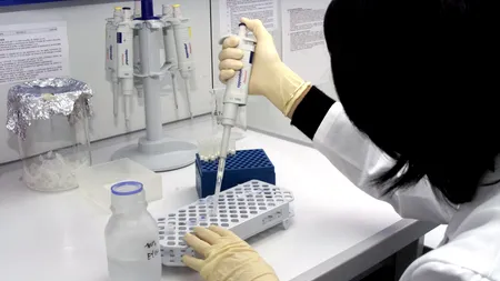 Brain Romania. Cercetătorii români care muncesc în străinătate au propria rețea de socializare