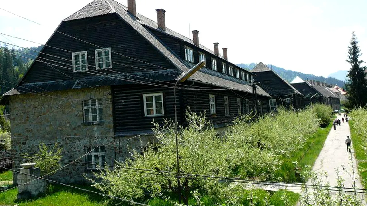 Pacienți internați la Psihiatrie în Harghita, speriați de un urs care se plimbă prin curtea spitalului