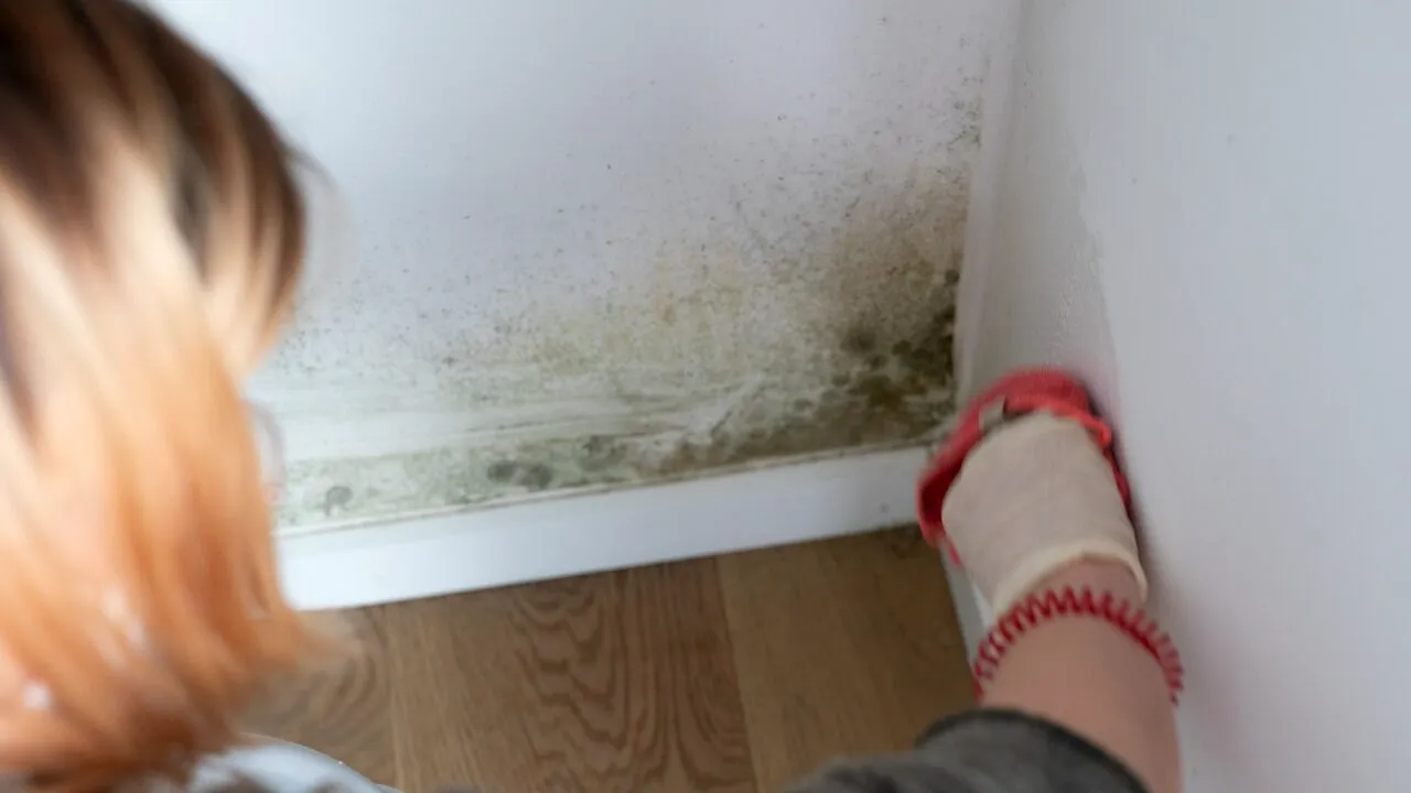 Cum scapi de igrasie și cum poți preveni apariția ei. Pașii pe care să îi urmezi