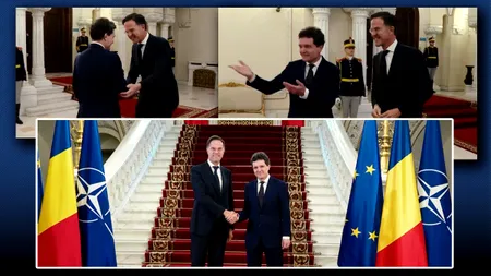 Rutte: 