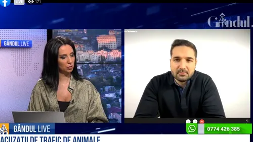 GÂNDUL LIVE. Continuă dezvăluirile despre Mafia animalelor fără stăpân! Tudor Tim Ionescu: „Această industrie generează milioane de euro / Sunt și medici veterinari implicați!”