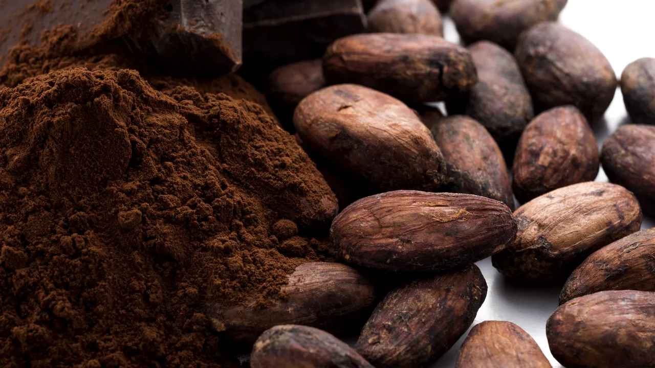 Cât costă cea mai scumpă ciocolată din lume 