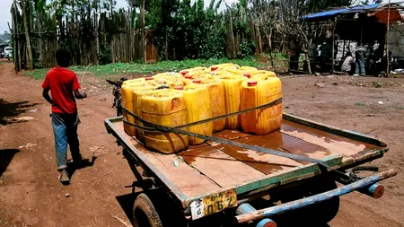 Descoperirea care ar putea ajuta mulți oameni să fie mai sănătoși