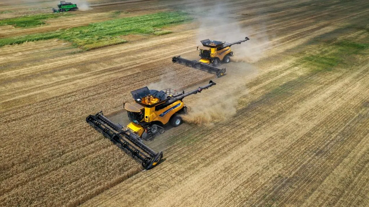 Holde Agri, venituri de 47 milioane de lei și un profit net de peste 5 milioane lei pentru 2020