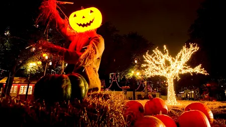 Un bărbat din Brașov a reclamat Halloween-ul la OPC 