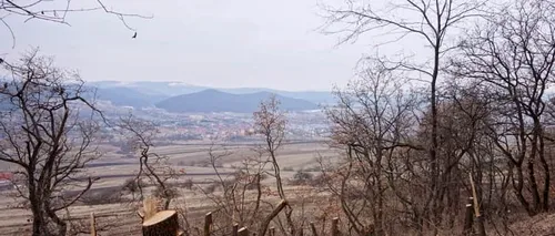 POIANA ROTUNDĂ, vizitată de fanii paranormalului, cade pradă unui FENOMEN OBIȘNUIT în România: Defrișarea copacilor