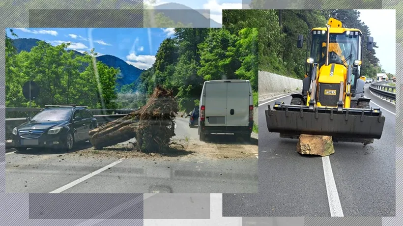 Risc MAJOR de accidente pe Valea Oltului: bolovani și buturugi pe carosabil, în urma defrișărilor pe Secțiunea 2 Boița - Cornetu