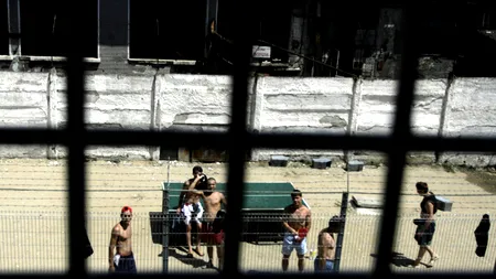 REȚEAUA „oamenilor de știință