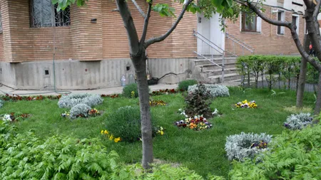 Pensionară din Brașov, AMENDATĂ pentru că a plantat flori în spatele blocului. „Este anormal ce se întâmplă”