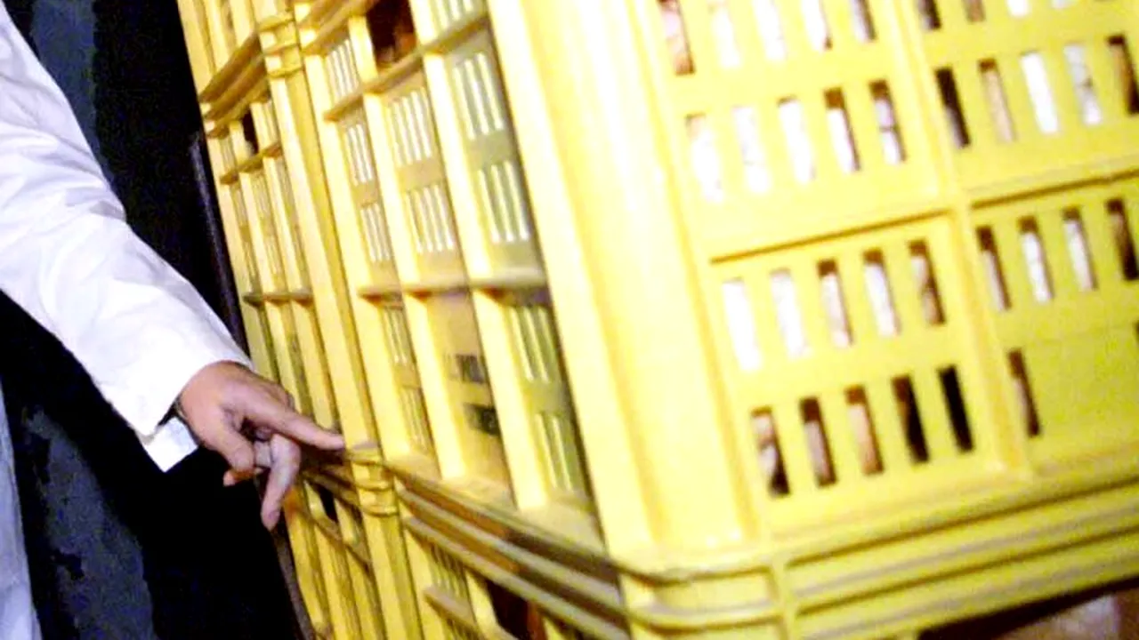 Un clujean a găsit viermi în chiflele cumpărate de la un supermarket