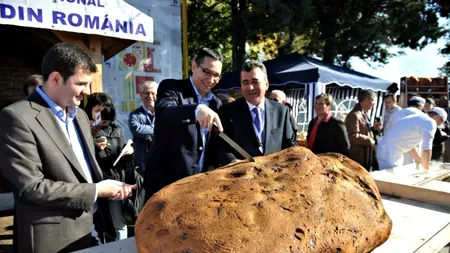 Topul angajaților care s-ar califica la electoRATA lui Ponta: 