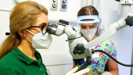 Tot ce trebuie să știi despre endodonție și tratamentul de canal