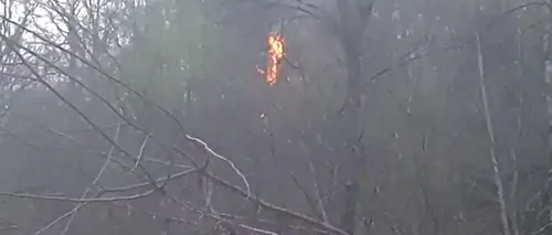 Pericol de incendii de vegetație, în mai multe zone din Grecia. Avertismentul MAE pentru români