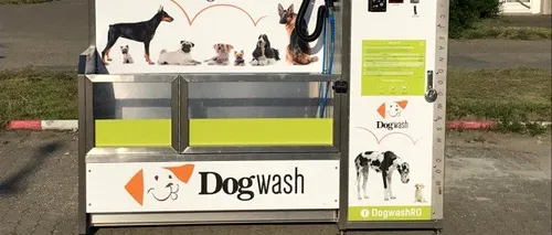 Al doilea automat pentru spălat câini din România, montat într-un oraș din vestul țării