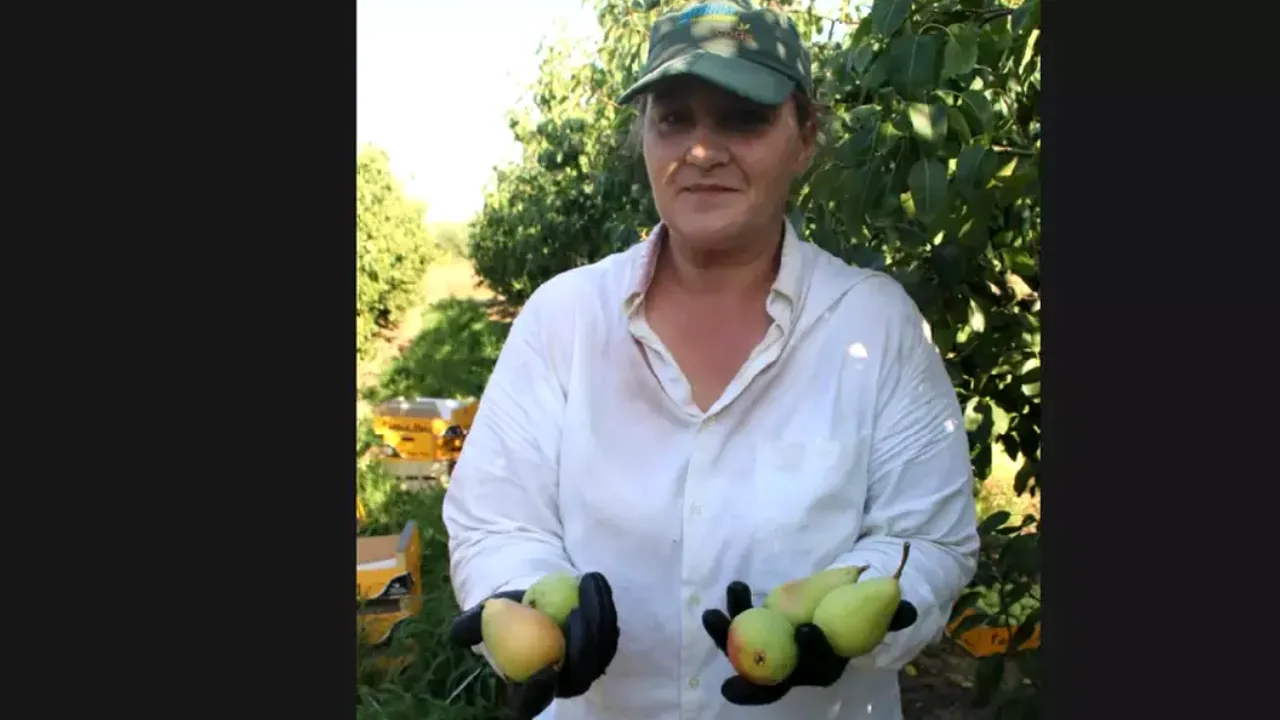 O româncă a lăsat contabilitatea dintr-un spital românesc pentru munca în agricultură, în Spania. De ce a făcut această alegere