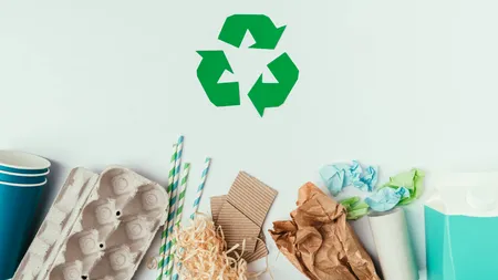 Paiele de hârtie, de 6 ori mai cancerigene decât cele din plastic? Un studiu scoate la iveală riscurile pentru sănătate și mediu