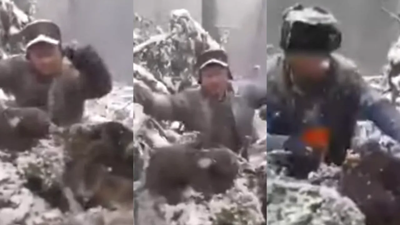 Revoltător! Patru ursuleți sunt scoși brutal din bârlog și aruncați în zăpadă. Cine sunt făptașii (FOTO & VIDEO)