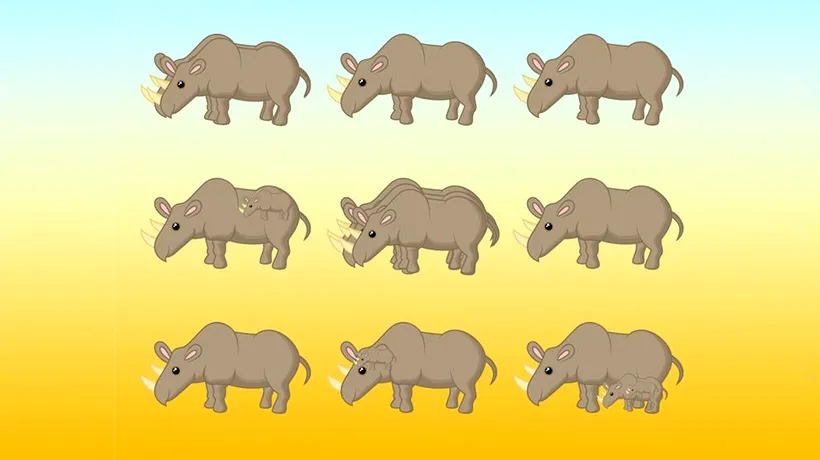 Test de inteligență pentru GENII | Câți rinoceri sunt, de fapt, în această poză?