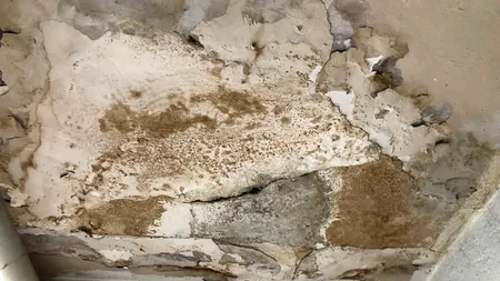 Performanță în mucegai, fără lumină și cu pereți de pe care cade tencuiala, la Clubul CS Petrolul Ploiești