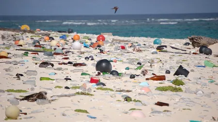 Japonezii au descoperit bacteria care se hrănește cu plastic