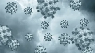 Virusul de care nu scapi niciodată. Peste 95% din populația adultă a lumii îl are în organism. Ce arată un studiu