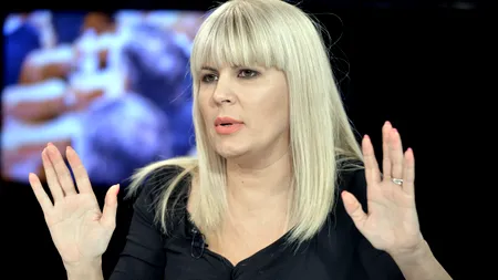 Elena Udrea scapă de opt luni de închisoare, pedeapsă care i-a mai rămas de executat în dosarul 