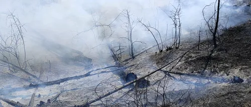 FOTO-VIDEO | Incendiu de vegetație în localitatea prahoveană Comarnic. Ard aproxmativ 10 hectare de teren
