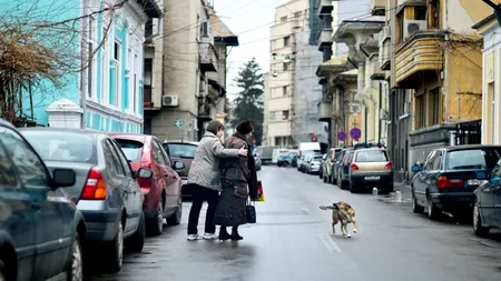 Persoanele care hrănesc câinii fără stăpân ar putea fi amendate cu până la 5.000 de lei