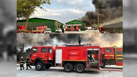 Incendiu spectaculos la marginea Capitalei. Un depozit de materiale plastice și carton a fost mistuit în câteva zeci de minute