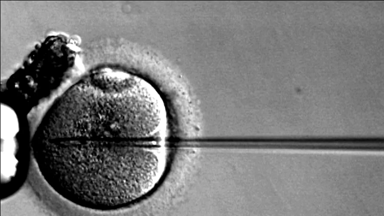 Banca de spermă l-a recomandat ca pe un geniu. Cum era de fapt donatorul