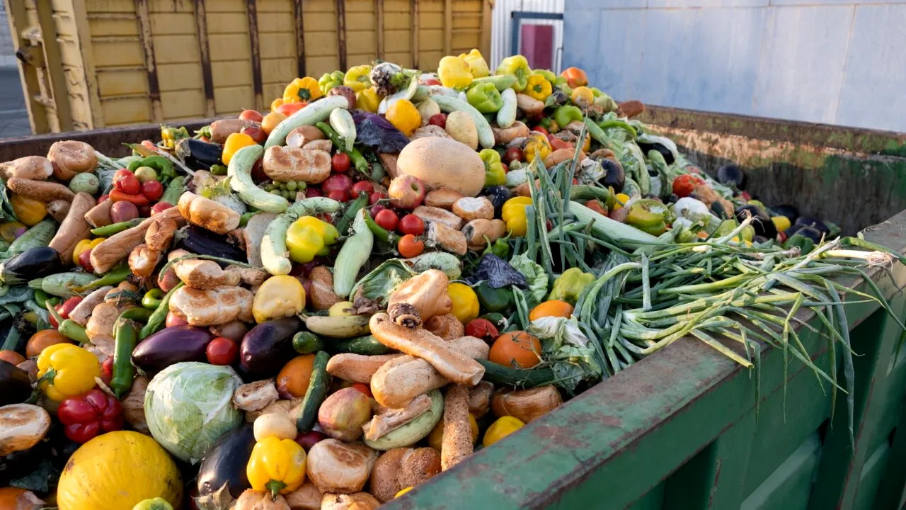 O româncă gătește cu legume și fructe aruncate la GUNOI. În ultimul videoclip, ea a recuperat cinci lăzi cu căpșuni de la risipă