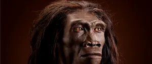 HOMO ERECTUS, specia umană care a existat 2 milioane de ani, ar fi dispărut din cauza schimbărilor climatice, dar și pentru că era prea „leneșă”