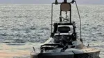 Porturile de la Marea Neagră și Dunăre vor fi mai bine apărate. Acestea vor fi dotate cu sisteme antidronă aeriene și marine