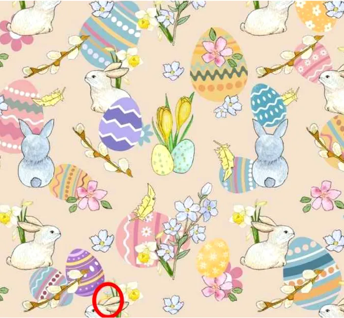 Iluzie optică virală | Unde se află inelul în această imagine?