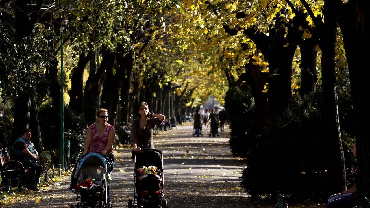 Restaurarea Parcului Cișmigiu. Firea dă noi asigurări: Nu se vor face defrișări, ci plantări noi