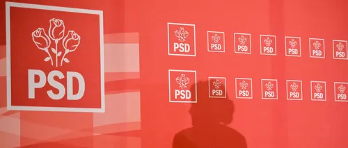 Viorica Dăncilă și liderii PSD, ședință la sediul de partid