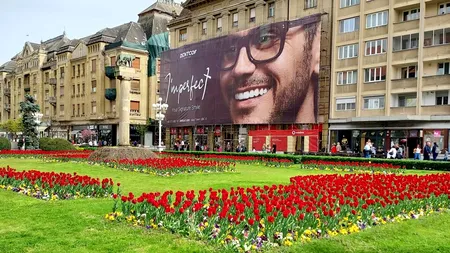 Peste 100.000 de LALELE au înflorit în acest oraș din România. Vin turiști de peste tot ca să facă poze și să admire frumusețea locului