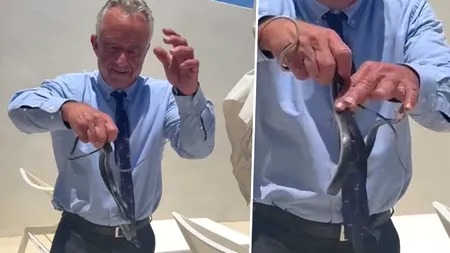 Imaginile zilei vin din SUA. Secretarul Sănătății, Robert Kenedy, a postat un video în care se luptă cu doi șerpi care au pătruns pe terasa casei