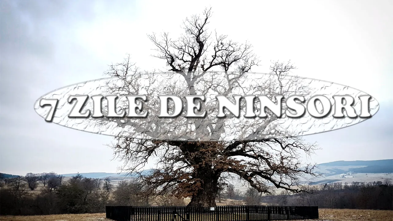 Orașul din România în care va ninge 7 zile în următoarele două săptămâni. Prognoza meteo Ease Weather