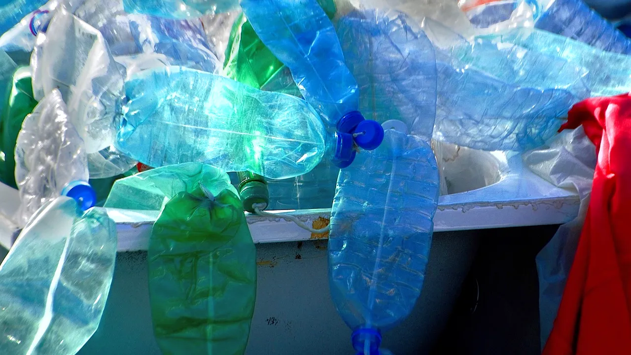 Câți bani a reușit să strângă o MĂMICĂ sărmană, din reciclarea PET-urilor, rămase după pelerinajul de la Sf. Parascheva