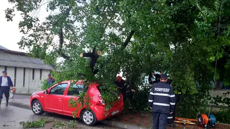 Urmările furtunii în Botoșani: Acoperișuri luate de vânt și copaci doborâți pe mașini - VIDEO / GALERIE FOTO