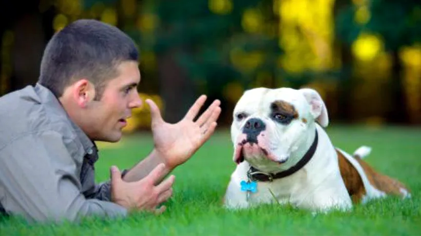 Oamenii vor putea vorbi cu câinii lor! Apare traducătorul GOOGLE pentru animale de companie