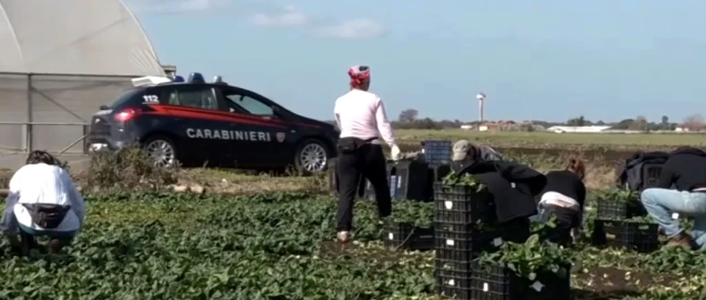 VIDEO | Sclavi pe plantațiile din Italia: Mai mulți muncitori români, exploatați la muncă 12 ore pe zi, pentru 15 euro. Trăiau cu frica de „caporalii” care îi amenințau cu bătaia