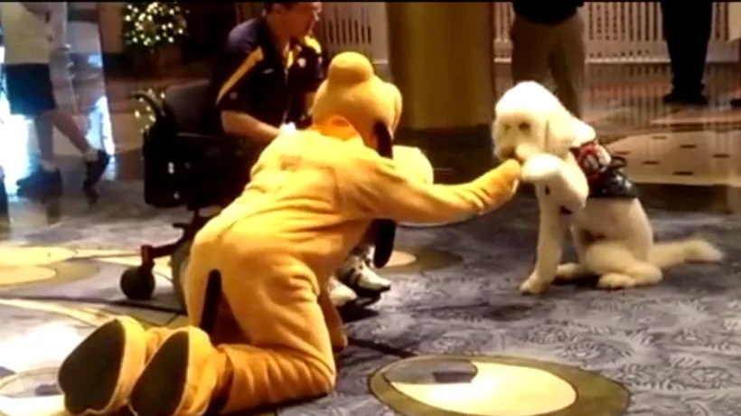 VIDEO. Ce se întâmplă când un câine o întâlnește pe mascota Pluto
