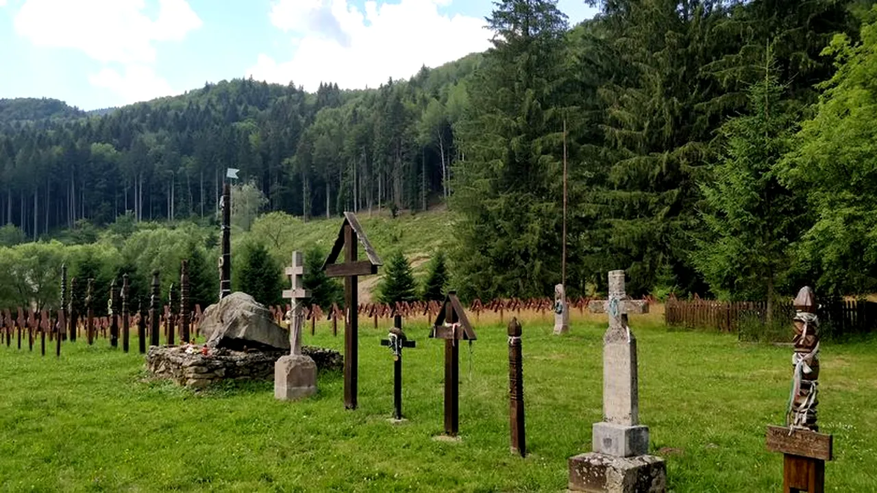 Continuă SCANDALUL de la Valea Uzului. Plângere penală după ce reprezentanţi ai organizaţiei Calea Neamului au amplasat 150 de cruci de lemn