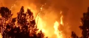California, devastată de un „MEGAINCENDIU” care a pârjolit deja peste 500 de km² de teren. Un bărbat, suspectat că ar fi provocat incendiul, arestat