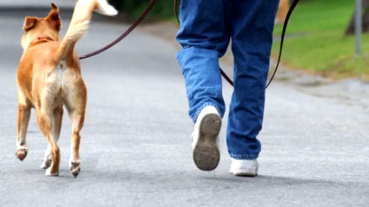 STUDIU. Felul în care mergi ar putea arăta predispoziția la Alzheimer